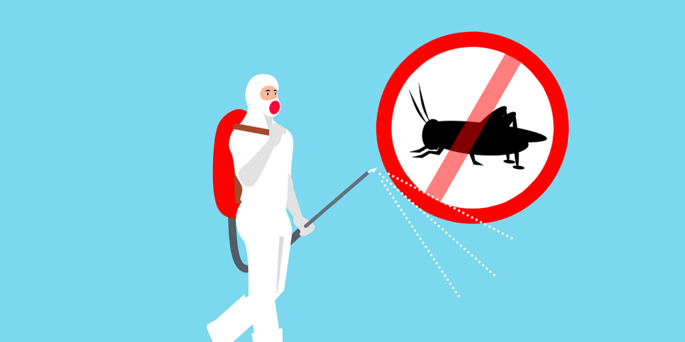 Exterminateur d’insectes : que faut-il savoir ?