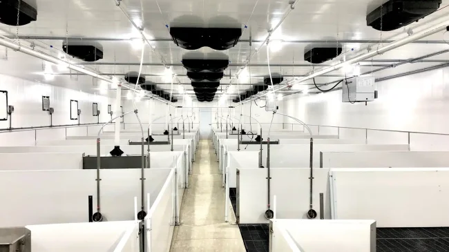 Speclite : spécialiste des luminaires LED au Québec
