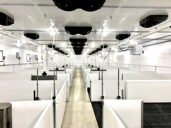 Speclite : spécialiste des luminaires LED au Québec