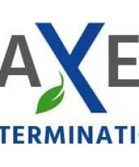 Axe Extermination | Gestion Parasitaire
